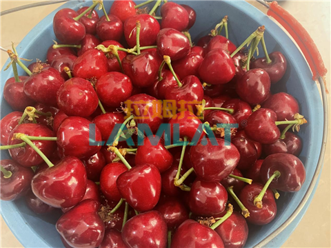 櫻桃施肥,大量元素水溶肥,翠姆 櫻桃施肥,大量元素水溶肥,翠姆