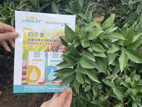 愛(ài)媛種植,水溶肥,伯示麥水溶肥 愛(ài)媛種植,水溶肥,伯示麥水溶肥