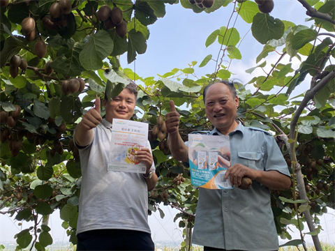 獼猴桃,水溶肥,伯示麥 獼猴桃,水溶肥,伯示麥