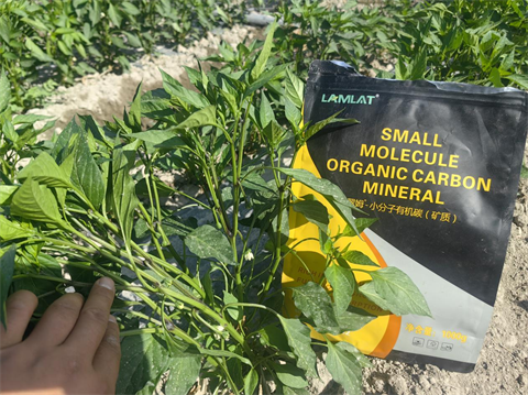 辣椒種植,水溶肥,翠姆 辣椒種植,水溶肥,翠姆