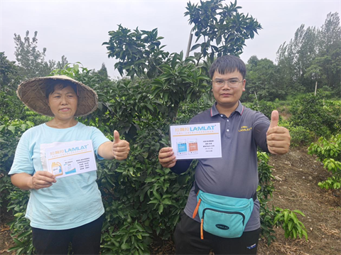 柑橘,水溶肥,翠姆 柑橘,水溶肥,翠姆