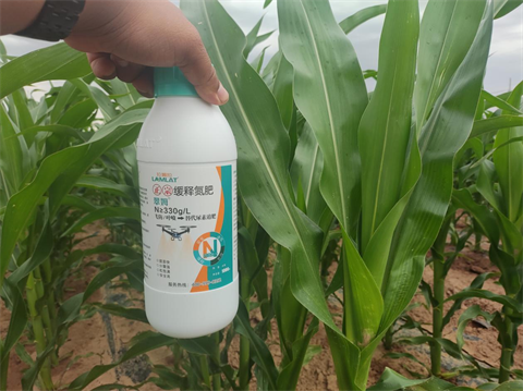 玉米,水溶肥,翠姆 玉米,水溶肥,翠姆