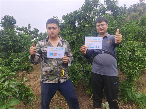 柑橘種植,水溶肥,翠姆 柑橘種植,水溶肥,翠姆