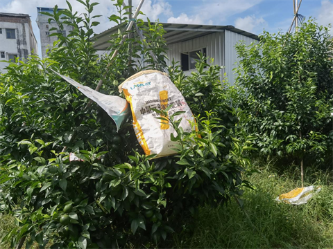 柑橘種植,水溶肥,翠姆 柑橘種植,水溶肥,翠姆