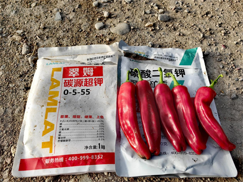 辣椒種植,水溶肥品牌,翠姆水溶肥 辣椒種植,水溶肥品牌,翠姆水溶肥