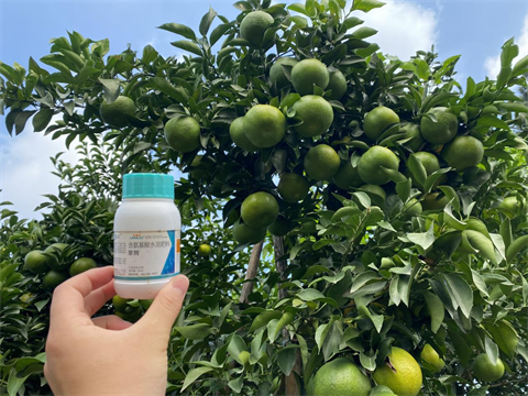 柑橘種植,水溶肥,翠姆 柑橘種植,水溶肥,翠姆