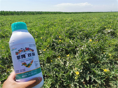 進(jìn)口水溶肥,打瓜種植,拉姆拉水溶肥 進(jìn)口水溶肥,打瓜種植,拉姆拉水溶肥