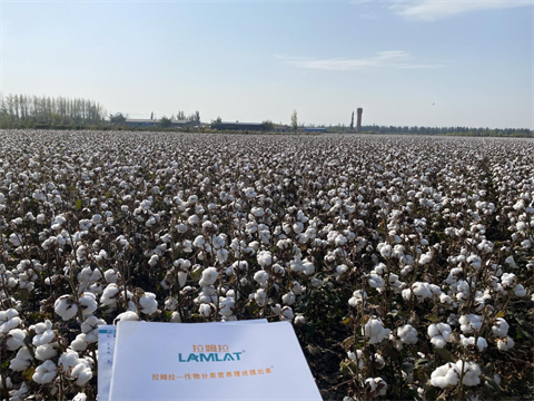 水溶肥廠家,棉花種植,翠姆水溶肥 水溶肥廠家,棉花種植,翠姆水溶肥