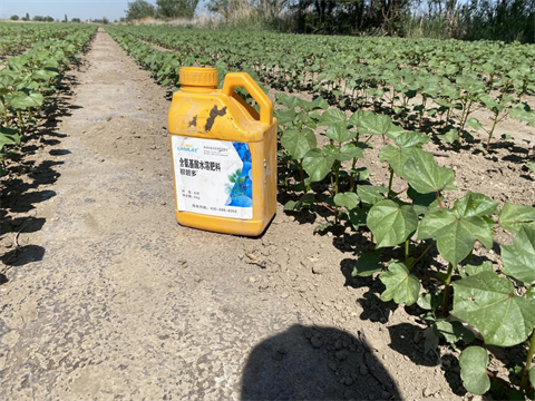 水溶肥廠家,棉花種植,翠姆水溶肥 水溶肥廠家,棉花種植,翠姆水溶肥