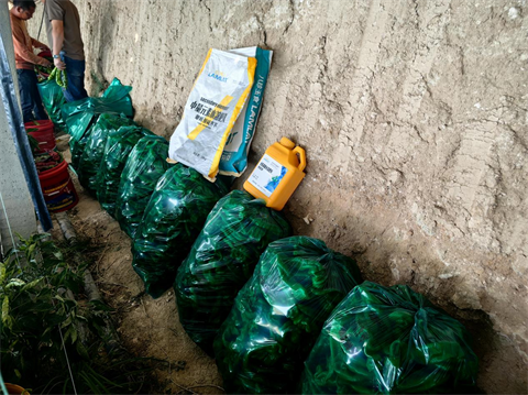 水溶肥廠家,辣椒落花落果,拉姆拉水溶肥 水溶肥廠家,辣椒落花落果,拉姆拉水溶肥