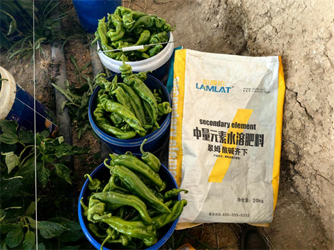 水溶肥廠家,辣椒落花落果,拉姆拉水溶肥 水溶肥廠家,辣椒落花落果,拉姆拉水溶肥