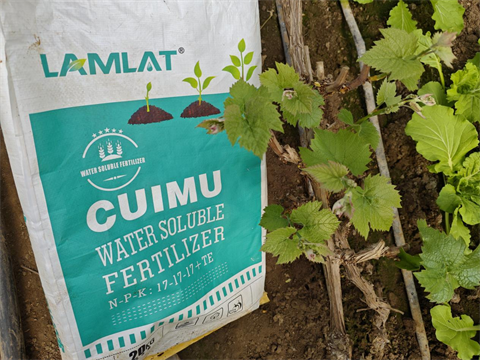 水溶肥品牌,葡萄施肥,翠姆水溶肥 水溶肥品牌,葡萄施肥,翠姆水溶肥