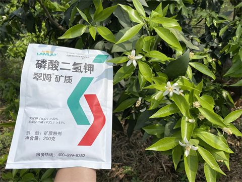 水溶肥廠家,柑橘施肥,翠姆葉面肥 水溶肥廠家,柑橘施肥,翠姆葉面肥