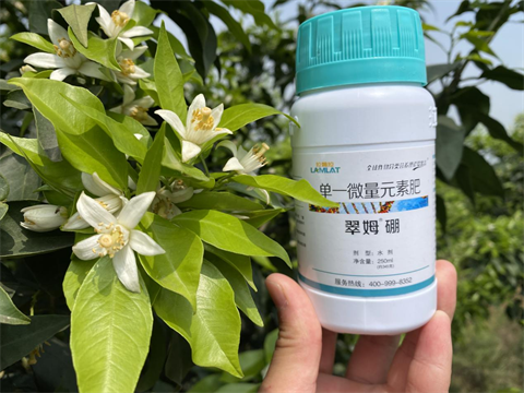 水溶肥廠家,柑橘施肥,翠姆葉面肥 水溶肥廠家,柑橘施肥,翠姆葉面肥