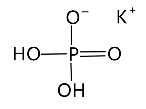 葉面肥廠家,翠姆水溶肥,礦質(zhì)磷酸二氫鉀 葉面肥廠家,翠姆水溶肥,礦質(zhì)磷酸二氫鉀