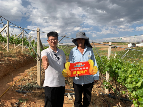 進(jìn)口水溶肥,葡萄種植,翠姆水溶肥 進(jìn)口水溶肥,葡萄種植,翠姆水溶肥