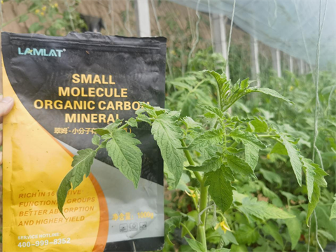 進口水溶肥,番茄種植,翠姆水溶肥 進口水溶肥,番茄種植,翠姆水溶肥