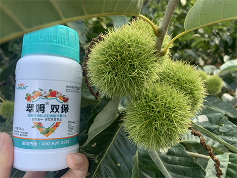 水溶肥品牌,板栗?；ū９?翠姆雙保