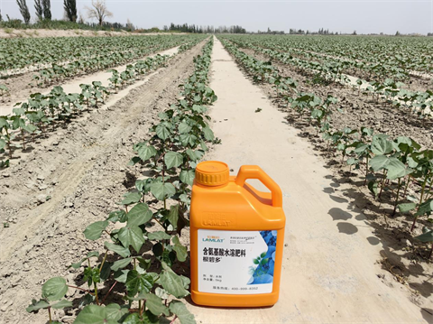 進(jìn)口水溶肥,棉花施肥,翠姆水溶肥 進(jìn)口水溶肥,棉花施肥,翠姆水溶肥