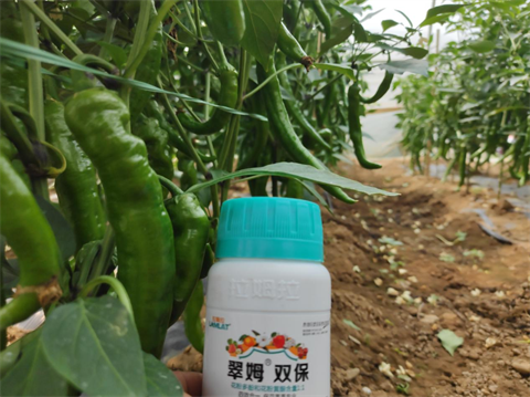進(jìn)口葉面肥,辣椒施肥,翠姆雙保 進(jìn)口葉面肥,辣椒施肥,翠姆雙保
