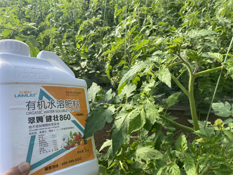 水溶肥廠家,土壤鹽漬化,翠姆水溶肥 水溶肥廠家,土壤鹽漬化,翠姆水溶肥