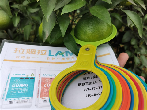 水溶肥品牌,柑橘施肥,翠姆顆粒水溶肥 水溶肥品牌,柑橘施肥,翠姆顆粒水溶肥