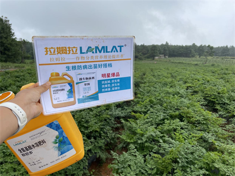 水溶肥廠家,當(dāng)歸種植,翠姆水溶肥 水溶肥廠家,當(dāng)歸種植,翠姆水溶肥