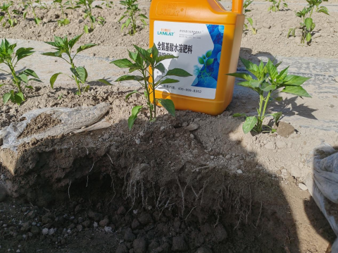 生根劑廠家,翠姆水溶肥,根碧多 生根劑廠家,翠姆水溶肥,根碧多