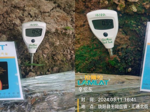 水溶肥品牌,葡萄種植,翠姆水溶肥 水溶肥品牌,葡萄種植,翠姆水溶肥