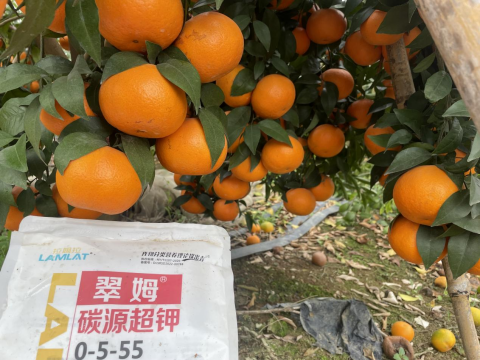 水溶肥廠家,柑橘轉(zhuǎn)色,翠姆水溶肥 水溶肥廠家,柑橘轉(zhuǎn)色,翠姆水溶肥