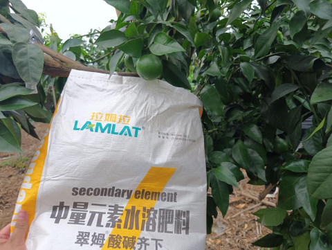 水溶肥廠家,底肥,拉姆拉水溶肥 水溶肥廠家,底肥,拉姆拉水溶肥