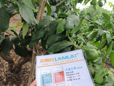 水溶肥廠家,底肥,拉姆拉水溶肥 水溶肥廠家,底肥,拉姆拉水溶肥