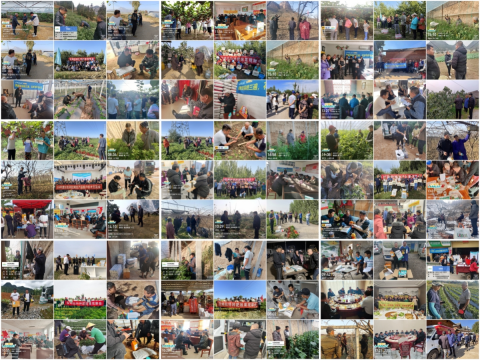 水溶肥廠家,肥料冬儲(chǔ),拉姆拉水溶肥 水溶肥廠家,肥料冬儲(chǔ),拉姆拉水溶肥