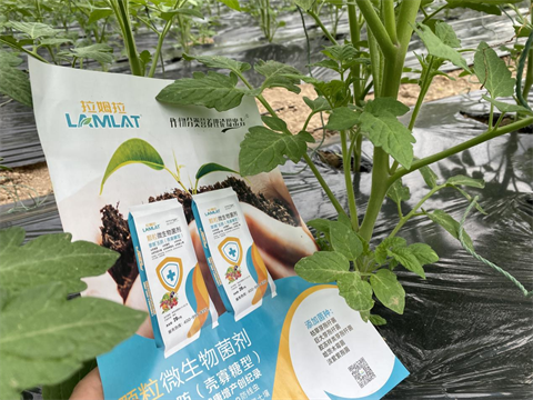 水溶肥廠家,土壤重茬,翠姆水溶肥 水溶肥廠家,土壤重茬,翠姆水溶肥