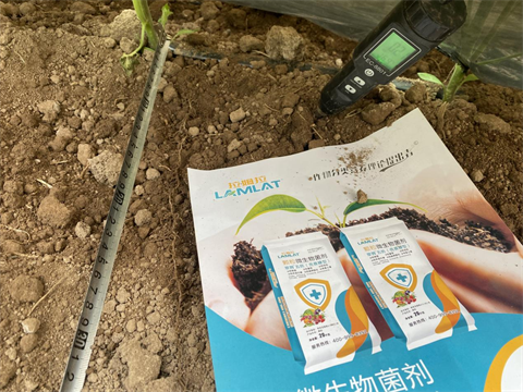 水溶肥廠家,土壤重茬,翠姆水溶肥 水溶肥廠家,土壤重茬,翠姆水溶肥