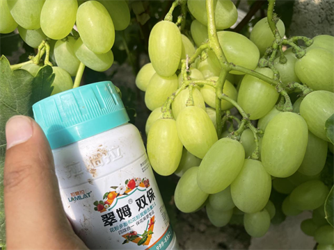 葉面肥品牌,拉姆拉特種肥,翠姆水溶肥 葉面肥品牌,拉姆拉特種肥,翠姆水溶肥