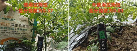 進(jìn)口水溶肥,顆粒微生物菌劑,拉姆拉特種肥 進(jìn)口水溶肥,顆粒微生物菌劑,拉姆拉特種肥