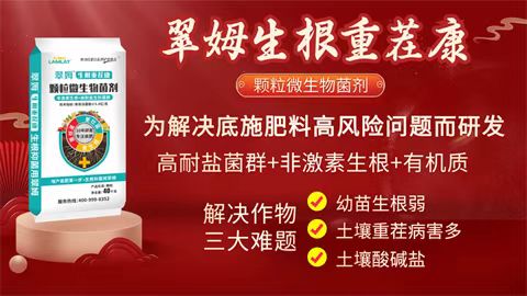 水溶肥廠家,拉姆拉特種肥,翠姆水溶肥 水溶肥廠家,拉姆拉特種肥,翠姆水溶肥