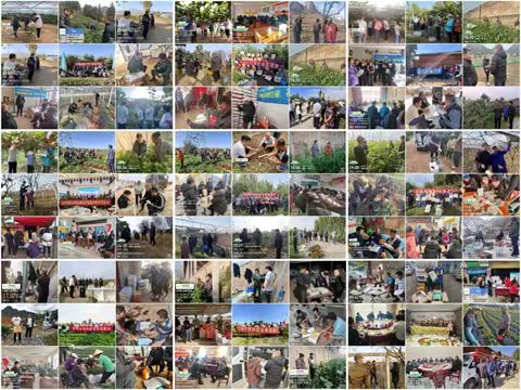 水溶肥廠家,拉姆拉特種肥,翠姆水溶肥 水溶肥廠家,拉姆拉特種肥,翠姆水溶肥