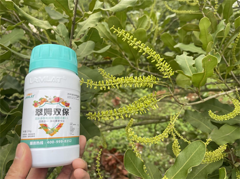 進(jìn)口水溶肥,堅(jiān)果種植,翠姆水溶肥 進(jìn)口水溶肥,堅(jiān)果種植,翠姆水溶肥