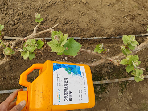 進口水溶肥,葡萄施肥,翠姆水溶肥 進口水溶肥,葡萄施肥,翠姆水溶肥