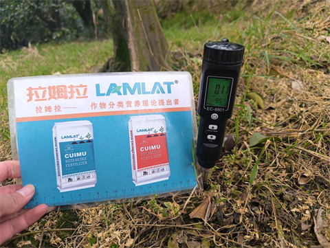 進(jìn)口水溶肥,柑橘種植,拉姆拉滴灌級特種肥 進(jìn)口水溶肥,柑橘種植,拉姆拉滴灌級特種肥