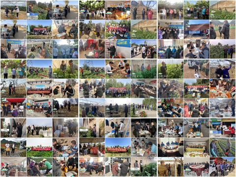 水溶肥廠家,農(nóng)業(yè)內(nèi)卷,拉姆拉滴灌級特種肥 水溶肥廠家,農(nóng)業(yè)內(nèi)卷,拉姆拉滴灌級特種肥