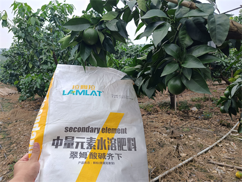 水溶肥品牌,柑橘種植,拉姆拉滴灌級(jí)特種肥 水溶肥品牌,柑橘種植,拉姆拉滴灌級(jí)特種肥