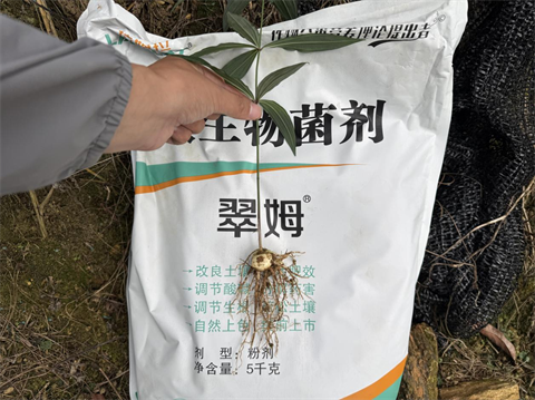 水溶肥品牌,黃精種植,拉姆拉滴灌級特種肥 水溶肥品牌,黃精種植,拉姆拉滴灌級特種肥