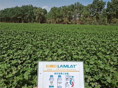 水溶肥品牌,棉花種植,拉姆拉滴灌級(jí)特種肥