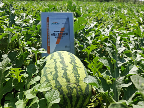 水溶肥,西瓜種植,拉姆拉滴灌級特種肥