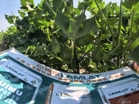 水溶肥品牌,棉花種植,拉姆拉滴灌級(jí)特種肥