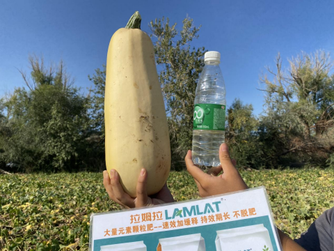 水溶肥,西葫蘆種植,拉姆拉滴灌級特種肥